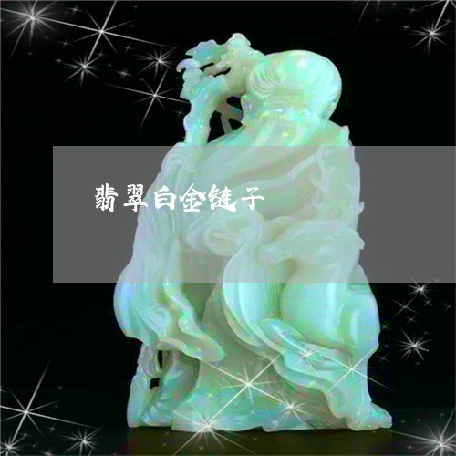 翡翠白金链子/2023053016292