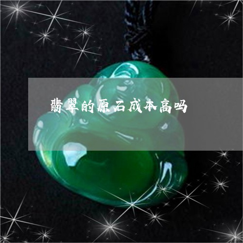 翡翠的原石成本高吗/2023120324038