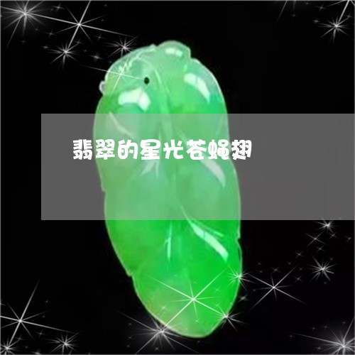 翡翠的星光苍蝇翅/2023080199614