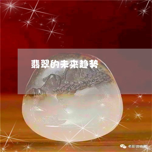 翡翠的未来趋势/2023051999271