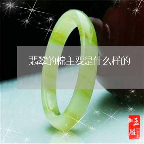 翡翠的棉主要是什么样的/2023042287059