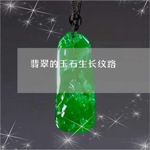 翡翠的玉石生长纹路/2023120477172