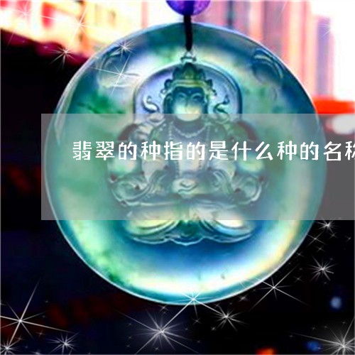 翡翠的种指的是什么种的名称有/2023120356259