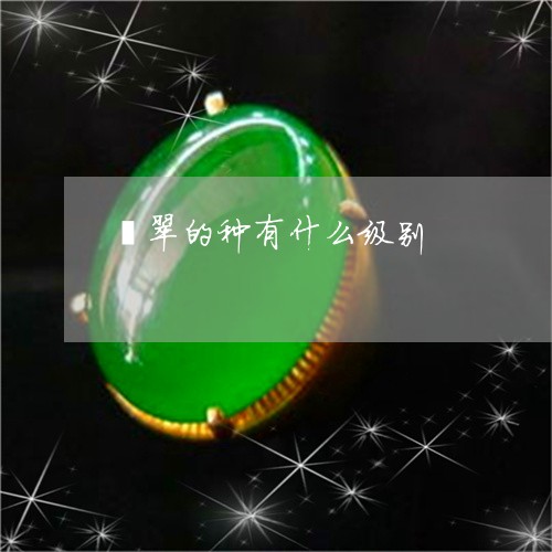 翡翠的种有什么级别/2023120457249