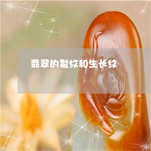 翡翠的裂纹和生长纹/2023120467281