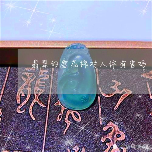 翡翠的雪花棉对人体有害吗/2023042643936