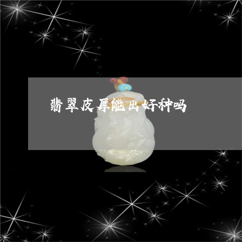 翡翠皮厚能出好种吗/2023120421839