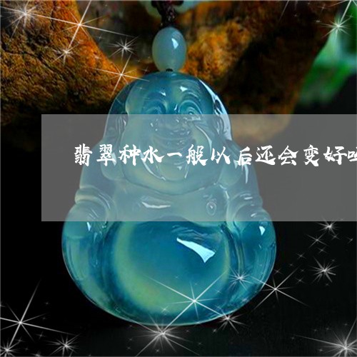 翡翠种水一般以后还会变好吗/2023100556950