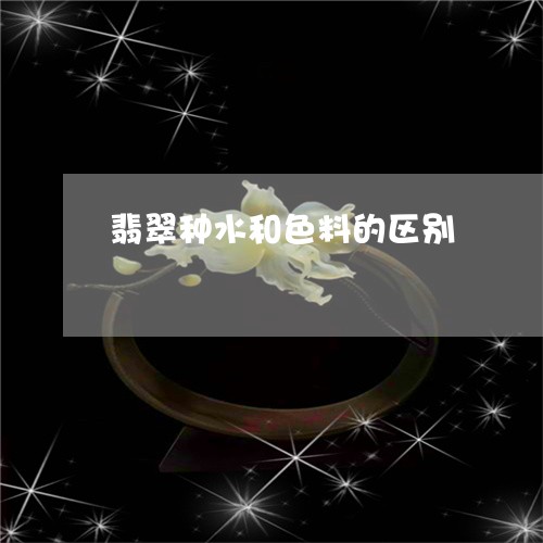 翡翠种水和色料的区别/2023051001393