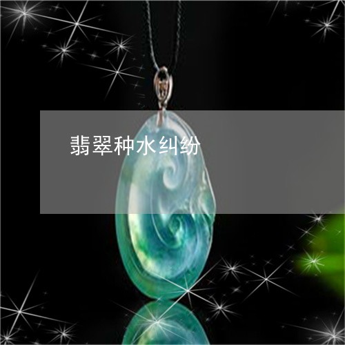 翡翠种水纠纷/2023072283925