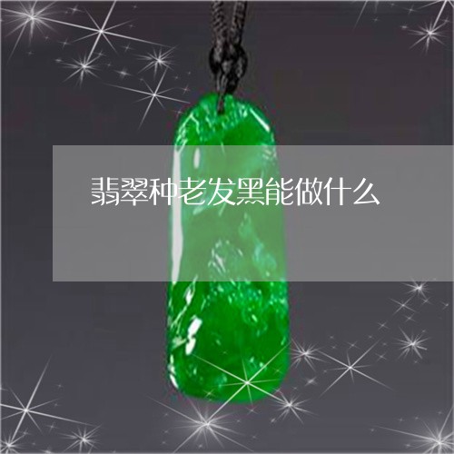 翡翠种老发黑能做什么/2023090887060