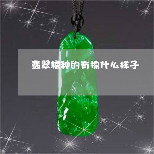 翡翠糯种的有棉什么样子/2023041442504