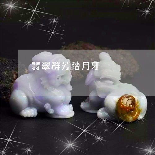 翡翠群芳踏月牙/2023052035306