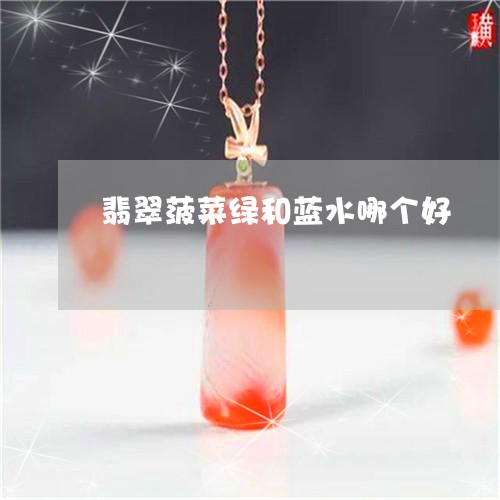 翡翠菠菜绿和蓝水哪个好/2023051603636