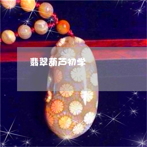 翡翠葫芦初学/2023072270361