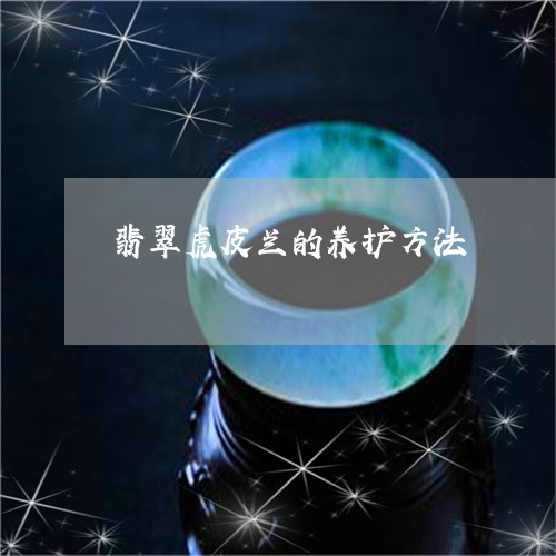 翡翠虎皮兰的养护方法/2023090926149