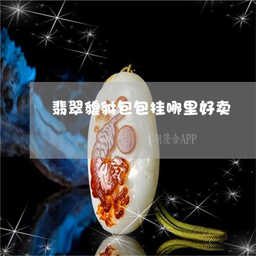 翡翠貔貅包包挂哪里好卖/2023041551715