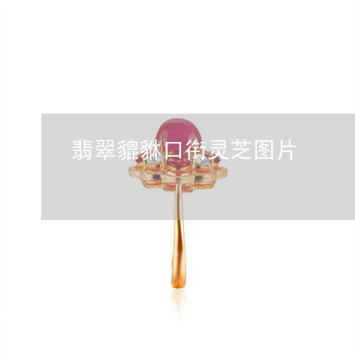 翡翠貔貅口衔灵芝图片/2023090998271