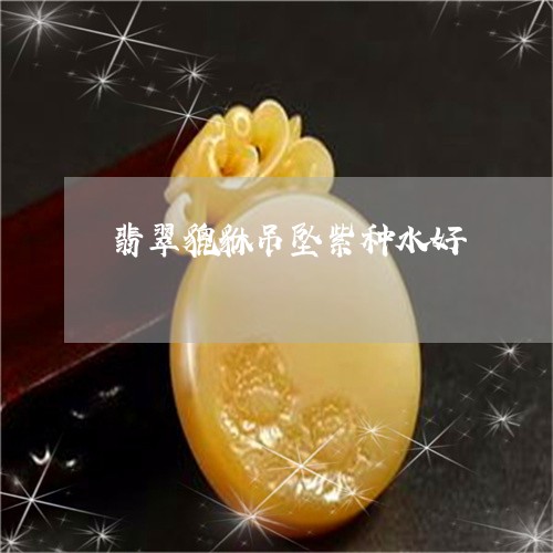 翡翠貔貅吊坠紫种水好/2023100738481