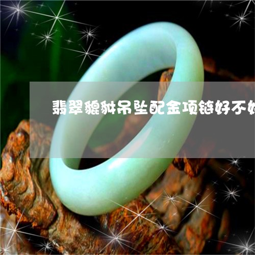 翡翠貔貅吊坠配金项链好不好/2023092802604