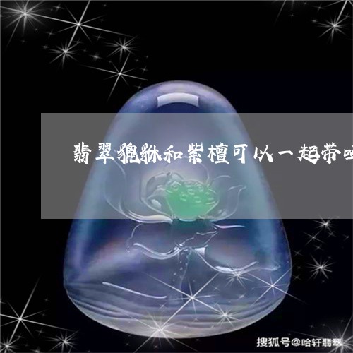 翡翠貔貅和紫檀可以一起带吗/2023092870736