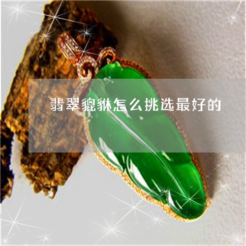 翡翠貔貅怎么挑选最好的/2023041413926