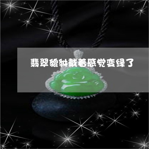 翡翠貔貅戴着感觉变绿了/2023041424948