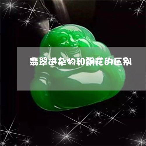 翡翠进杂物和飘花的区别/2023041420483