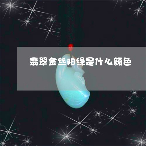 翡翠金丝阳绿是什么颜色/2023042045958