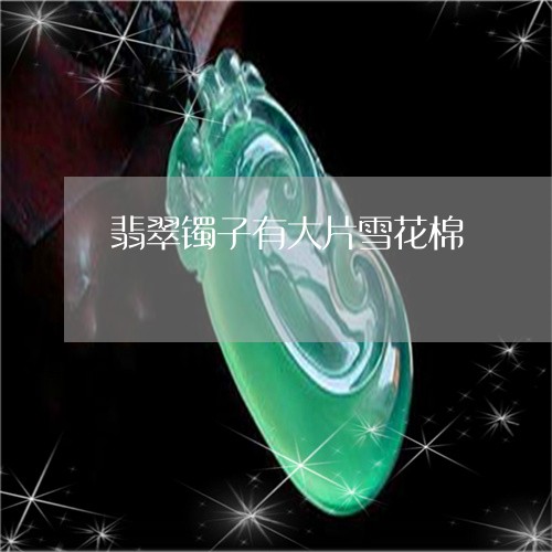 翡翠镯子有大片雪花棉/2023090792695