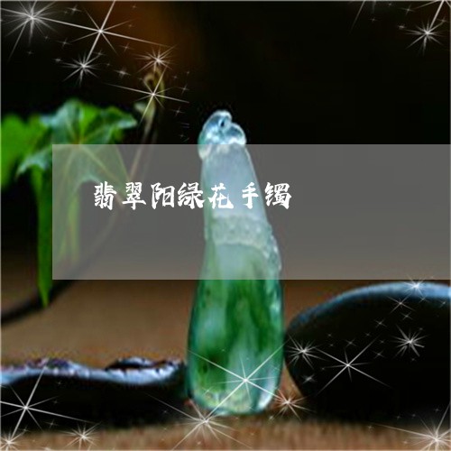 翡翠阳绿花手镯/2023111549392