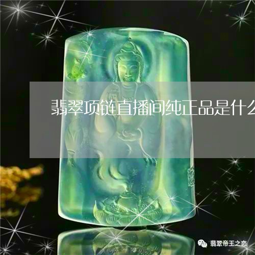 翡翠项链直播间纯正品是什么/2023112498160