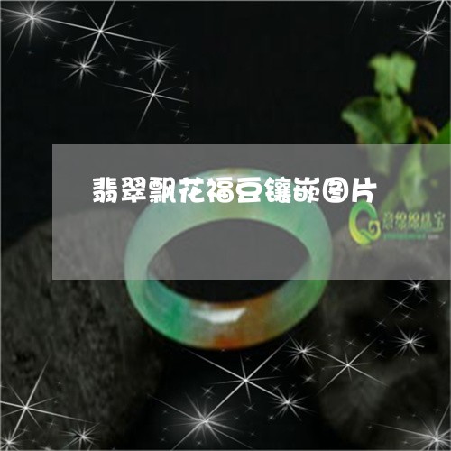 翡翠飘花福豆镶嵌图片/2023090532937