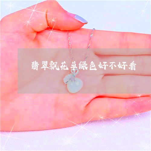 翡翠飘花草绿色好不好看/2023041470391