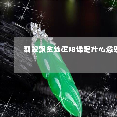 翡翠飘金丝正阳绿是什么意思/2023092821694