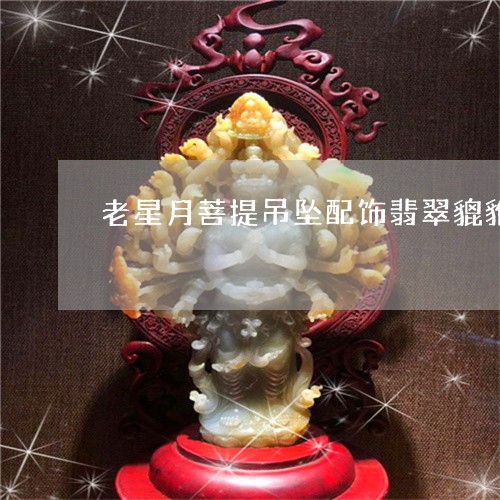 老星月菩提吊坠配饰翡翠貔貅/2023112530602