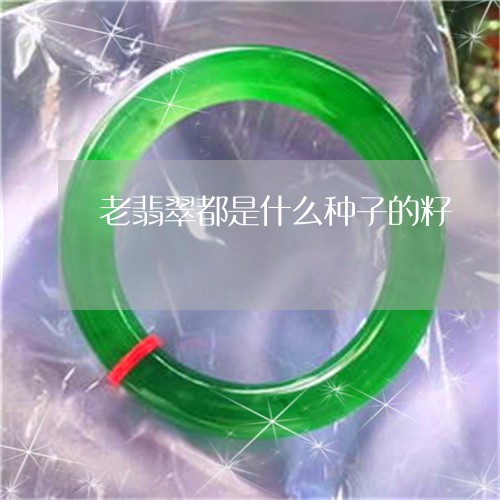 老翡翠都是什么种子的籽/2023061719369