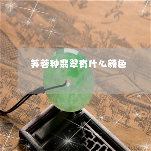 芙蓉种翡翠有什么颜色/2023090704814