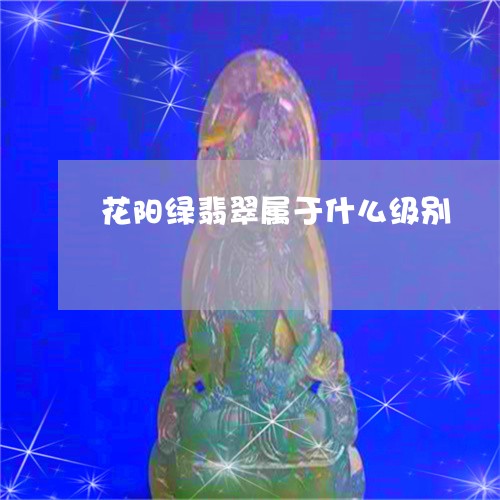 花阳绿翡翠属于什么级别/2023041404816