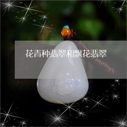 花青种翡翠和飘花翡翠/2023090660371