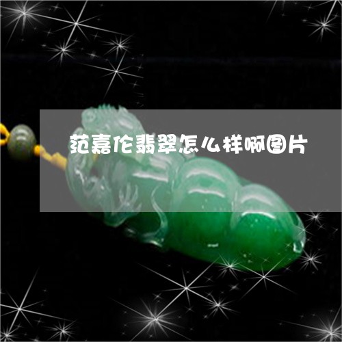 范嘉伦翡翠怎么样啊图片/2023111653846