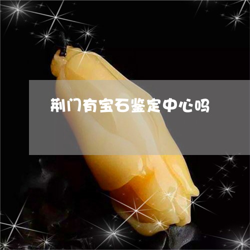 荆门有宝石鉴定中心吗/2023051126938