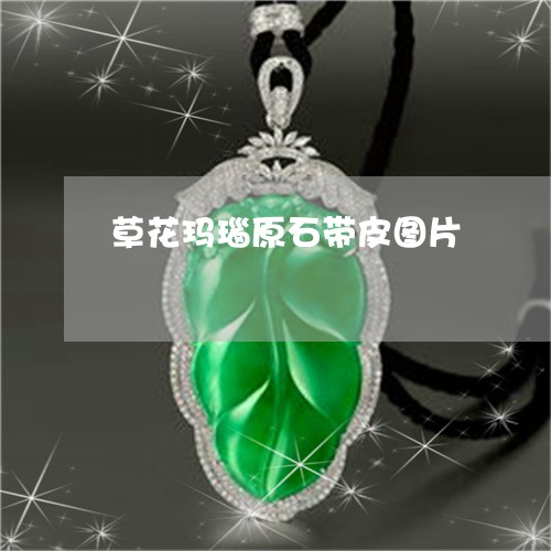 草花玛瑙原石带皮图片/2023090691805