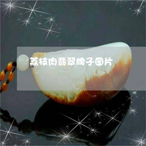 荔枝肉翡翠牌子图片/2023120504249