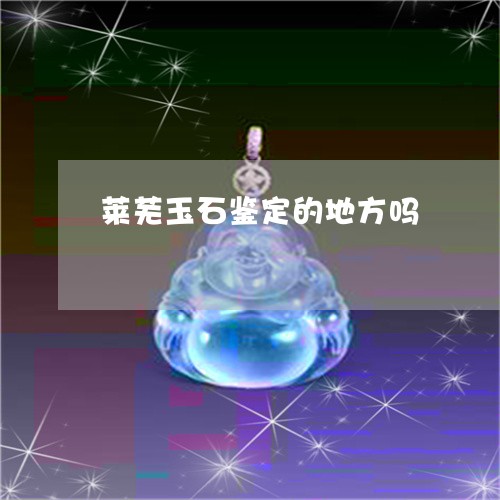 莱芜玉石鉴定的地方吗/2023051150362