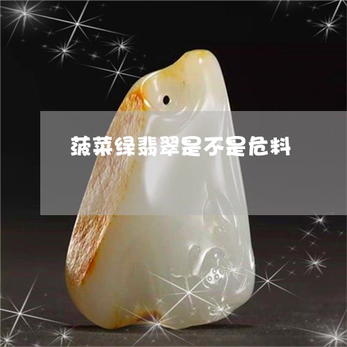 菠菜绿翡翠是不是危料/2023090649159