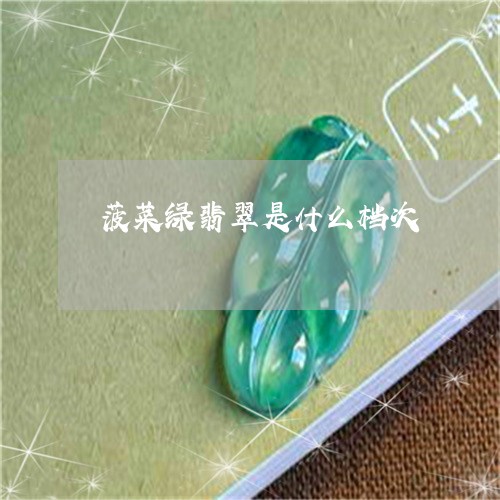 菠菜绿翡翠是什么档次/2023051180613