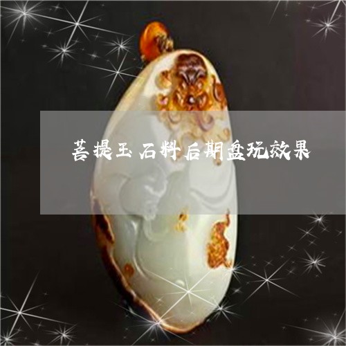 菩提玉石料后期盘玩效果/2023041398693