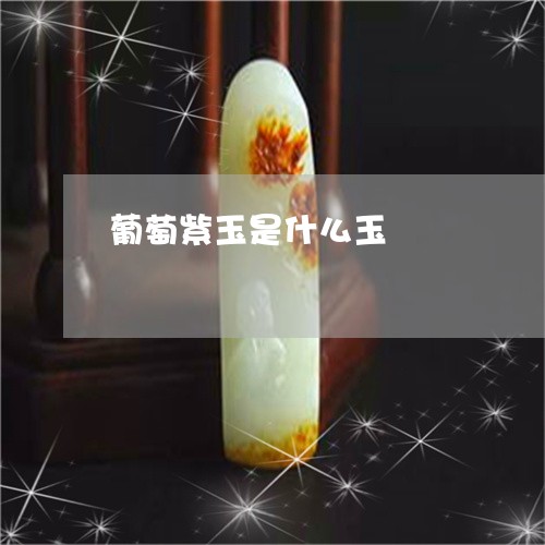 葡萄紫玉是什么玉/2023052086261