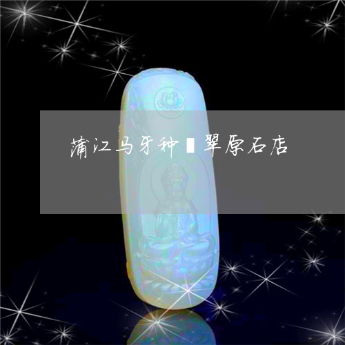 蒲江马牙种翡翠原石店/2023090660691